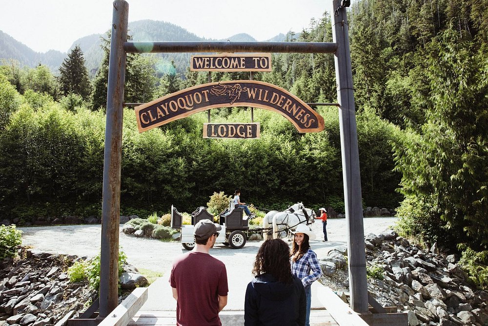 Tailored wilderness experiences guided by experts.
