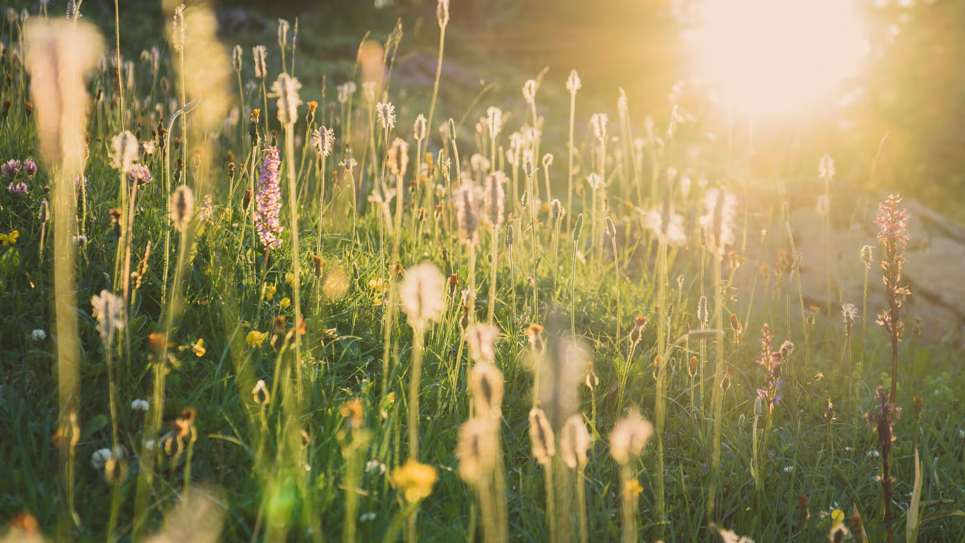 Maintaining Motivation