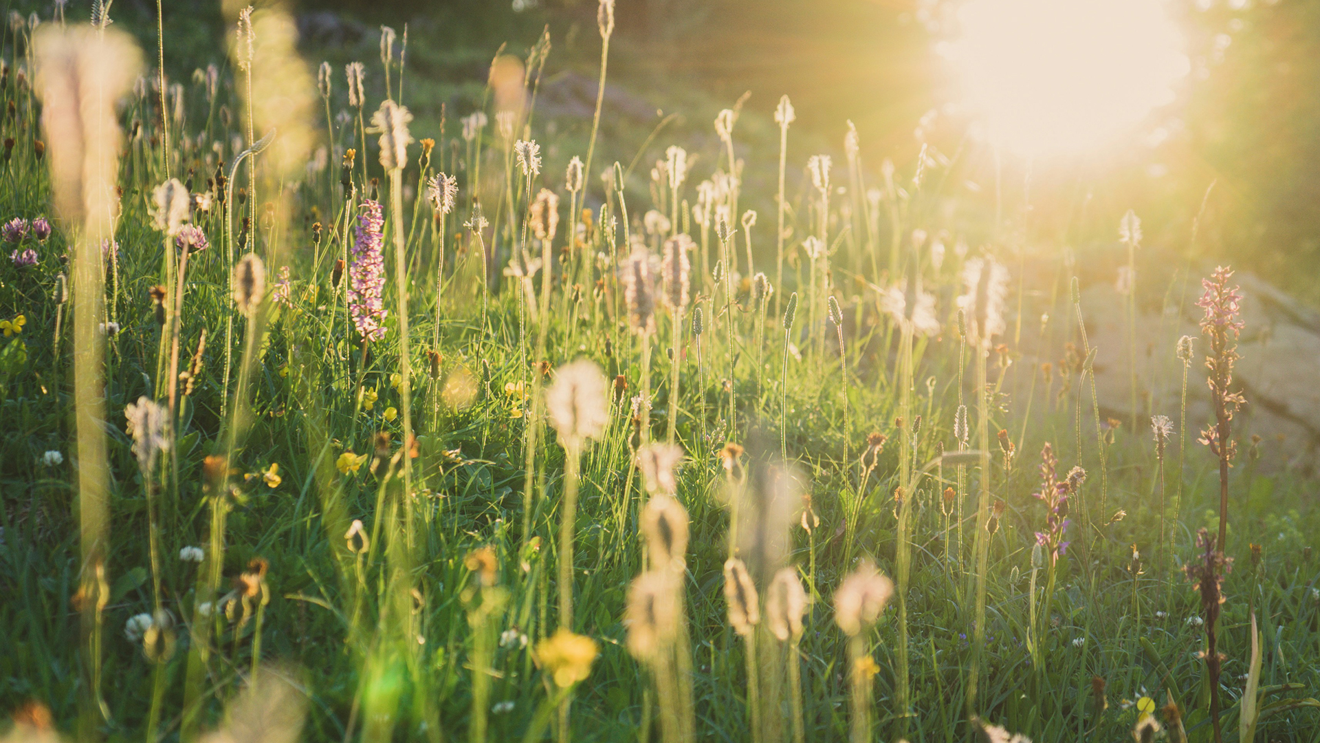 Maintaining Motivation