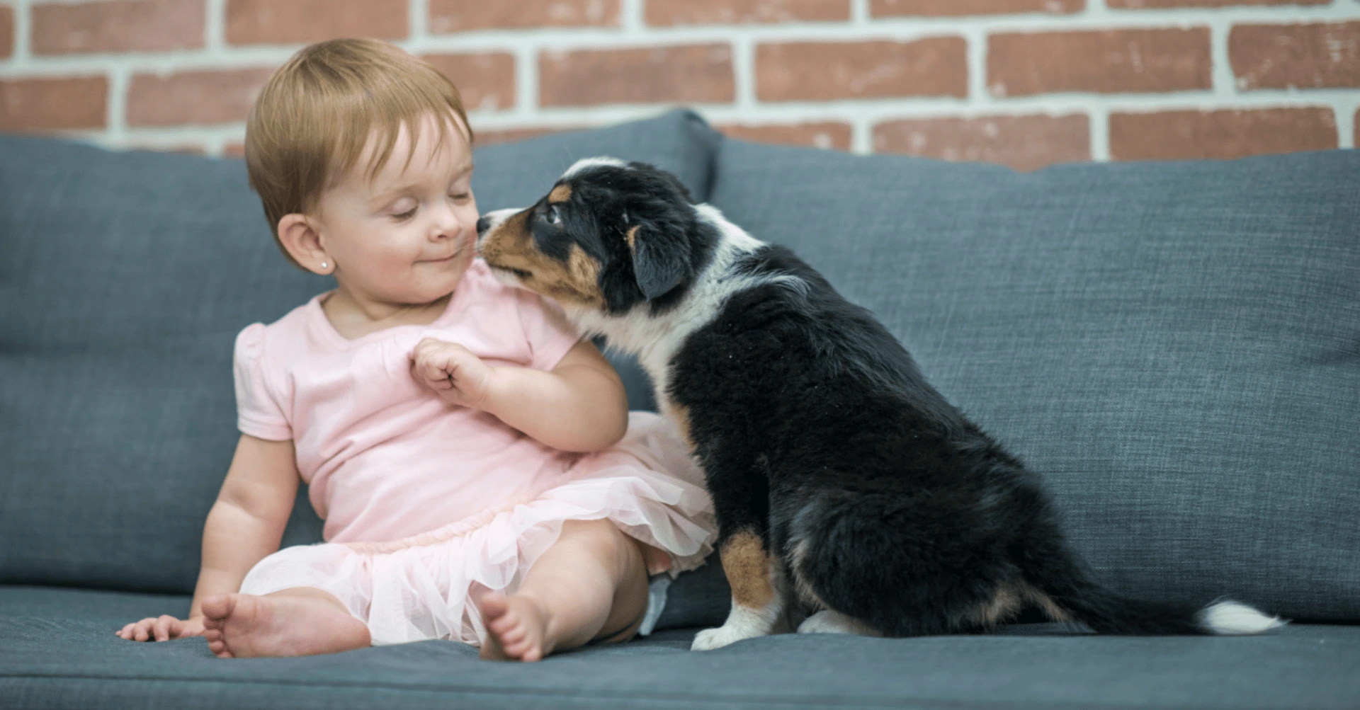 Dog Mom vs. Human Mom: Turns Out We’re All Just Tired and Covered in Drool