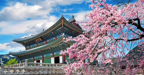 Seoul, Korea With Kids