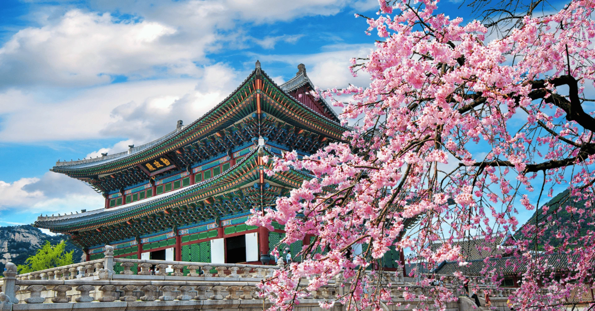 Seoul, Korea With Kids