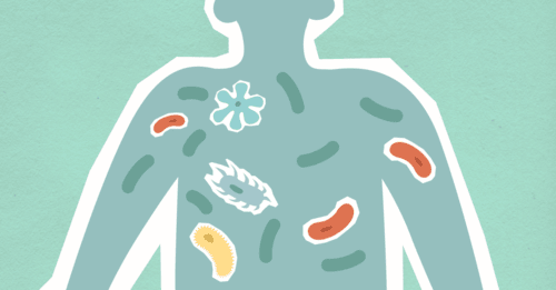 Why Schools Are Germ Pools and How to Keep Kids Healthy