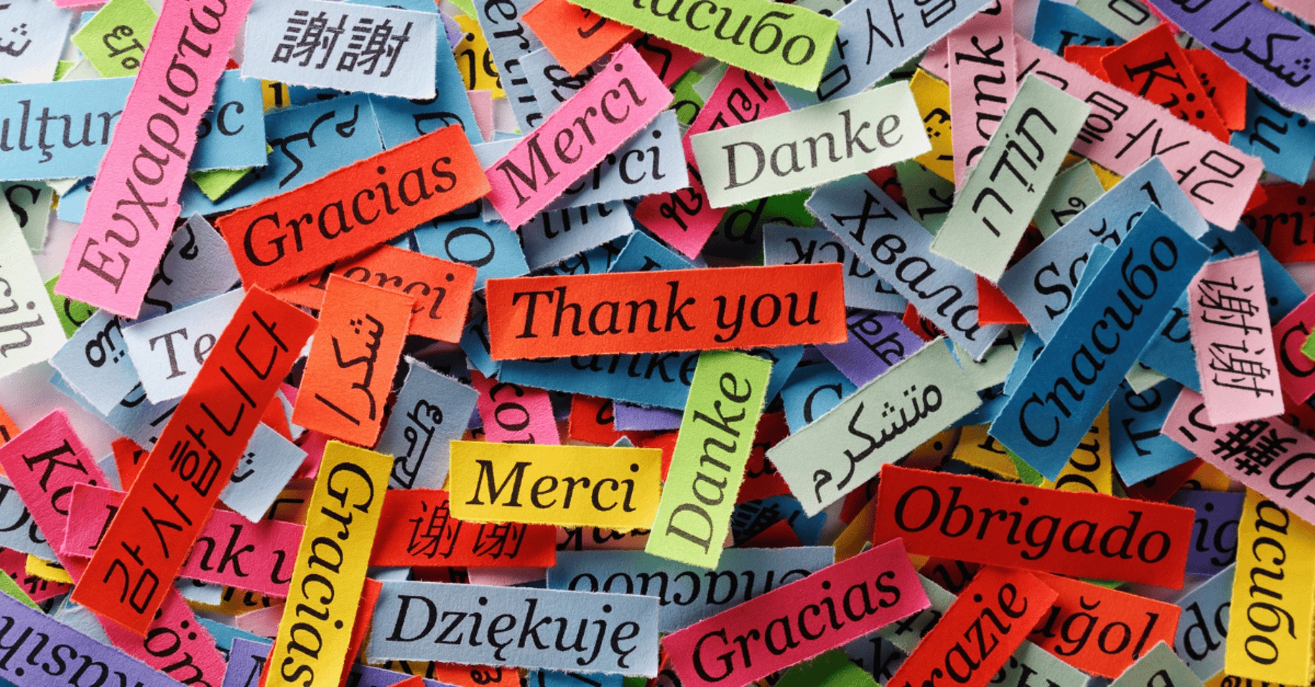 Language Immersion Camps for Kids