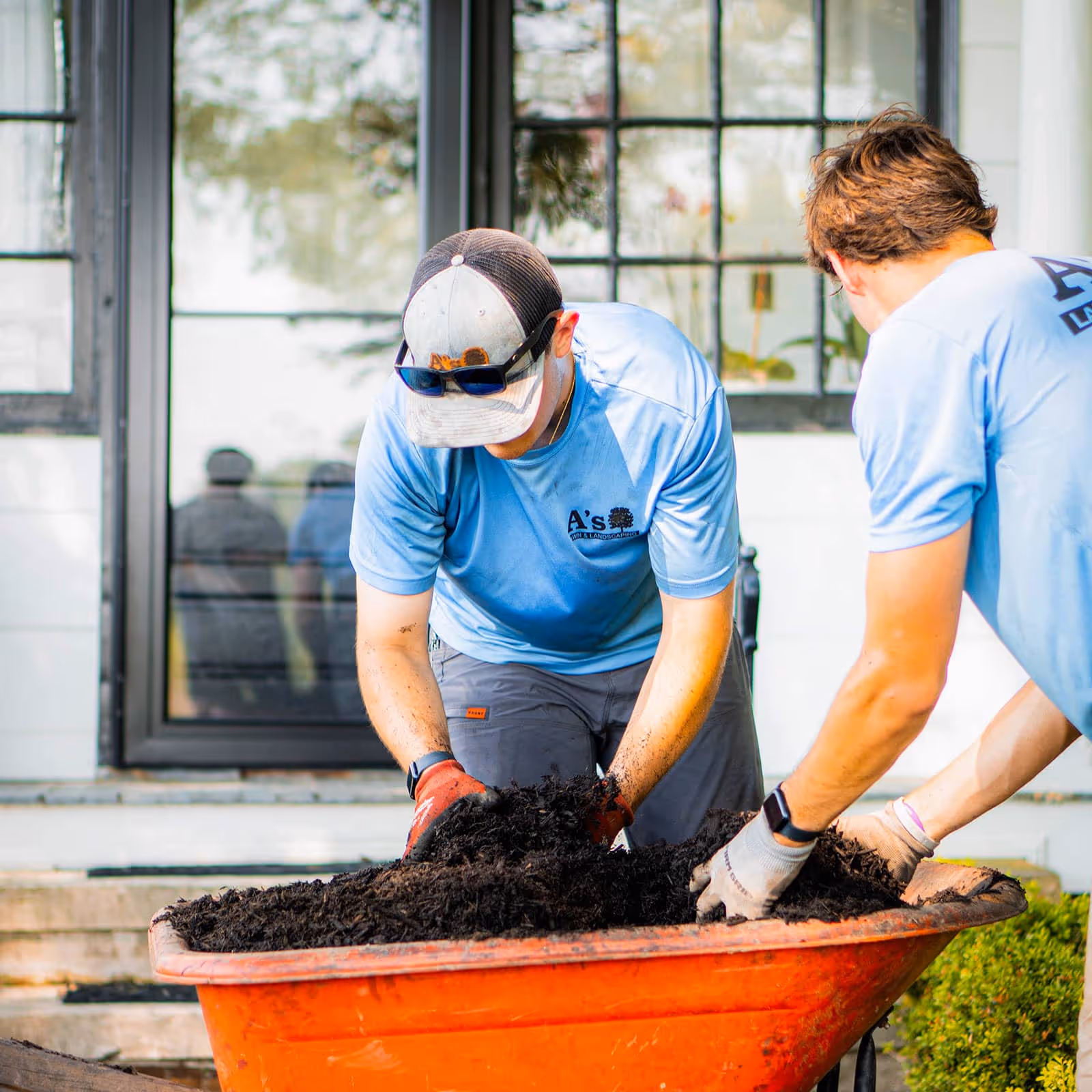 Professional sod installation for a lush green lawn