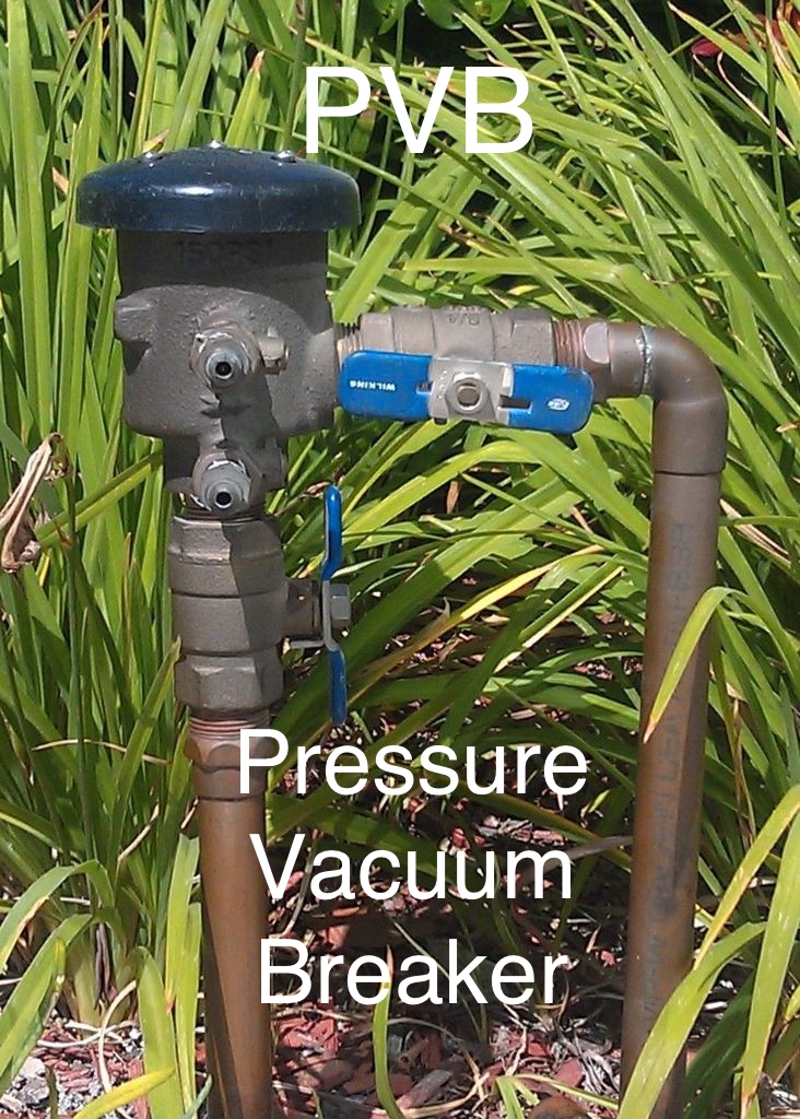 PVB