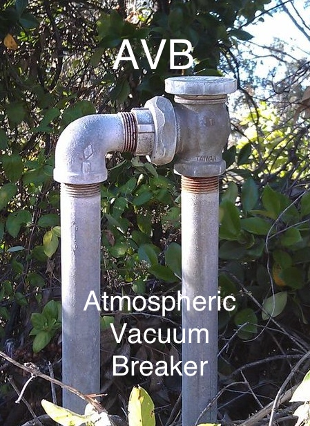AVB