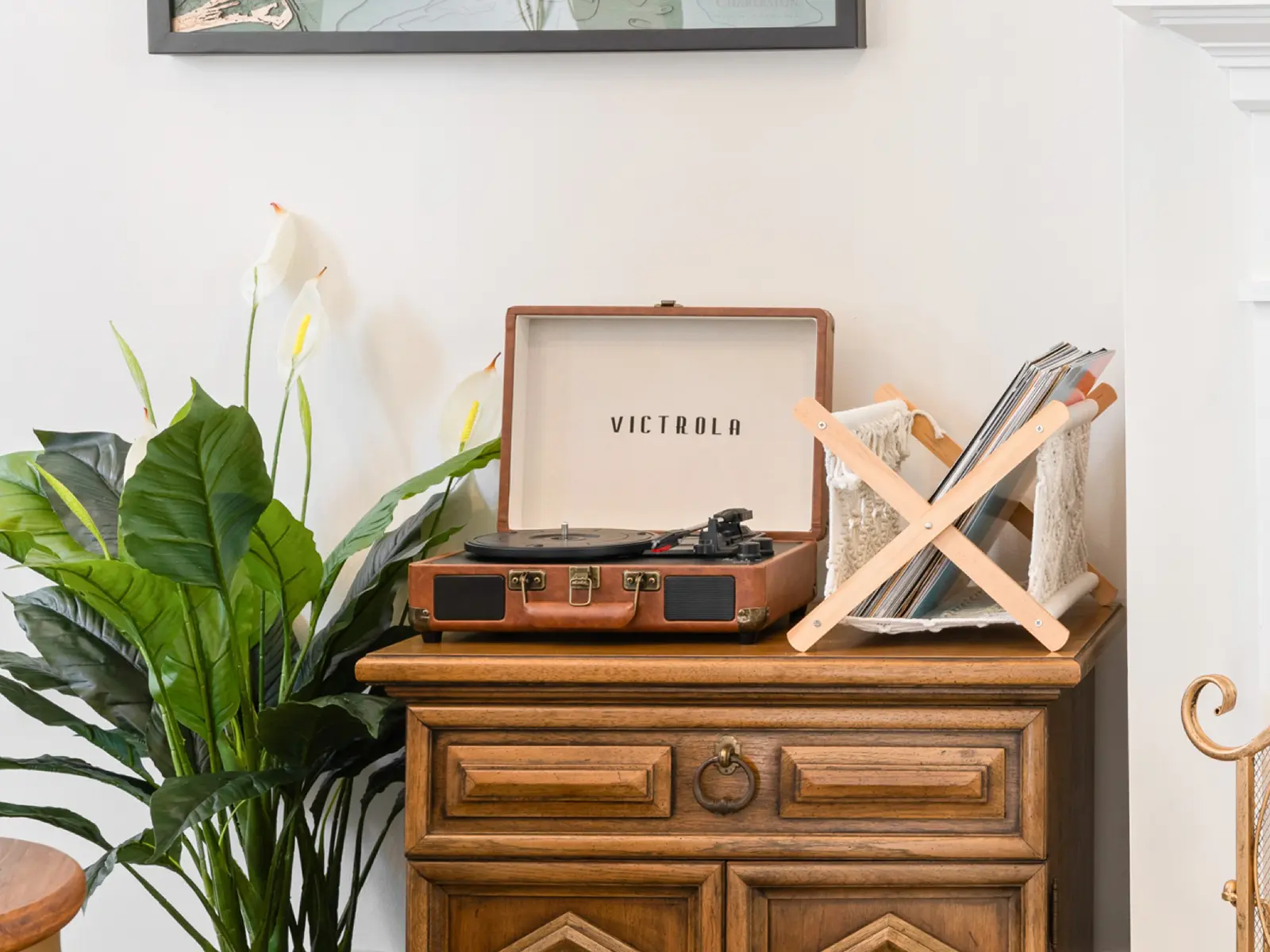 Camellias Record Player