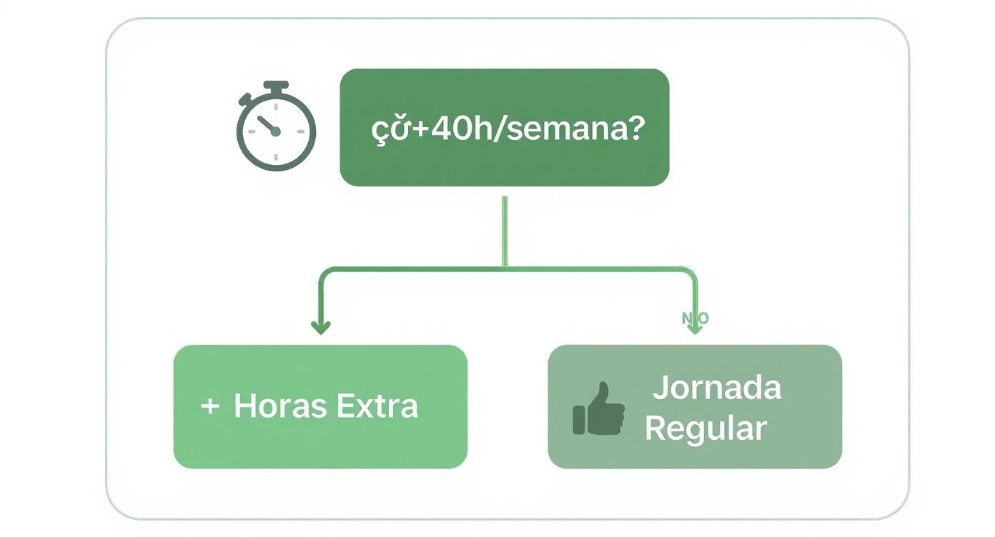 Infographic about tiempos de trabajo y descanso