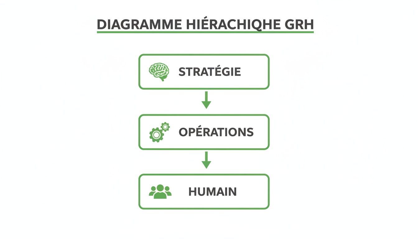 Diagramme hiérarchique GRH montrant la chaîne de valeur : Stratégie, Opérations et Humain avec leurs icônes respectives.