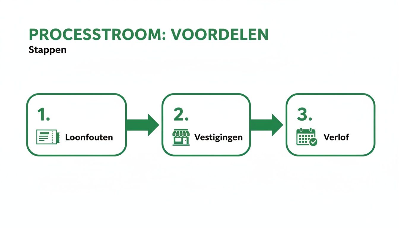 Processtroomdiagram met drie stappen: loonfouten, vestigingen en verlof, elk met een bijbehorend icoon.