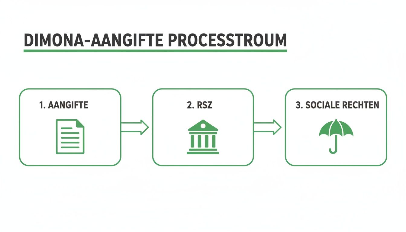 Stroomschema van de DIMONA-aangifte, inclusief stappen voor de aangifte, de RSZ en sociale rechten.
