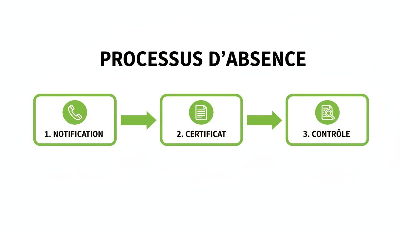 Diagramme illustrant le processus d'absence en trois étapes : notification, certificat et contrôle.