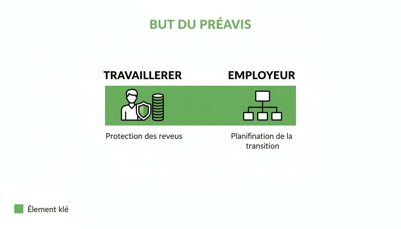 Infographie illustrant le but du préavis pour le travailleur (protection des revenus) et l'employeur (planification de la transition).