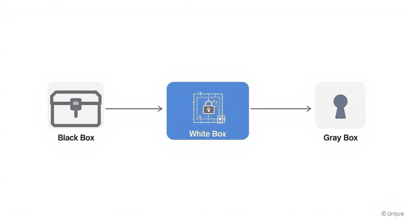 Infographic about penetration testing white box