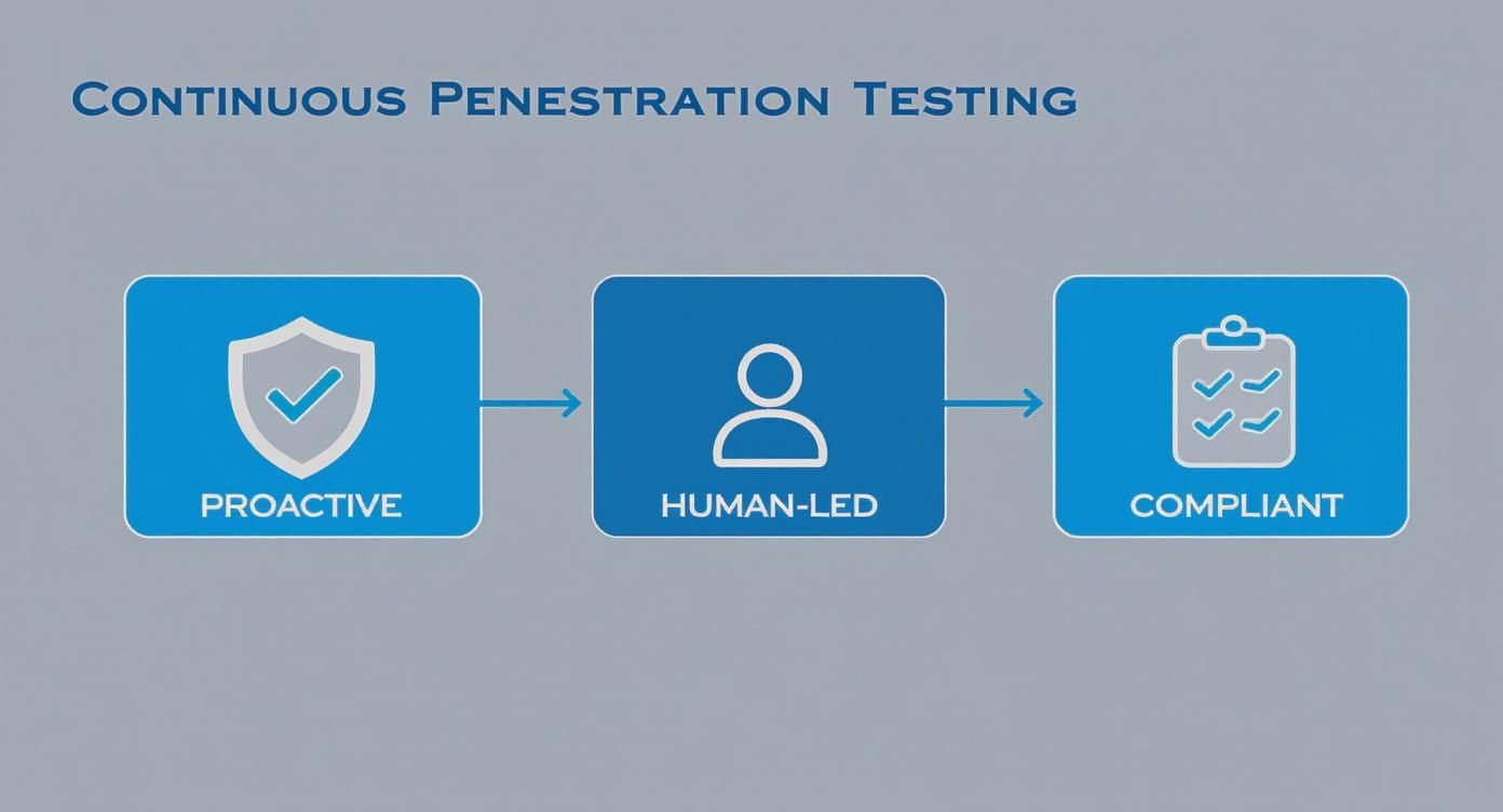 Infographic about continuous penetration testing