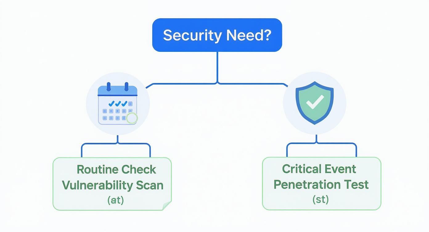 Infographic decision tree showing that routine security checks lead to vulnerability scanning, while critical events lead to penetration testing.