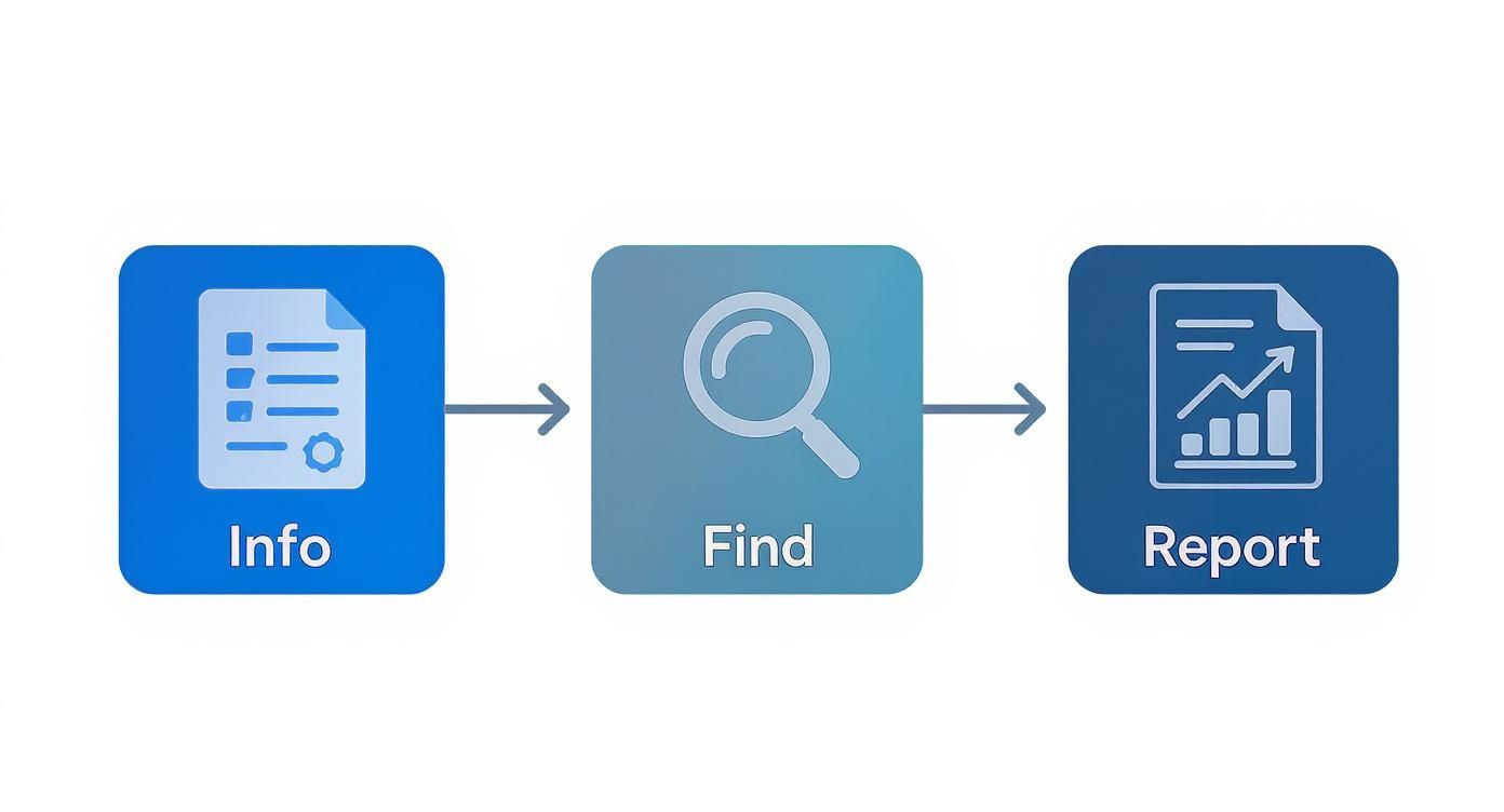 Infographic showing the white box pentesting process with three steps: gathering information, finding vulnerabilities, and creating a report.
