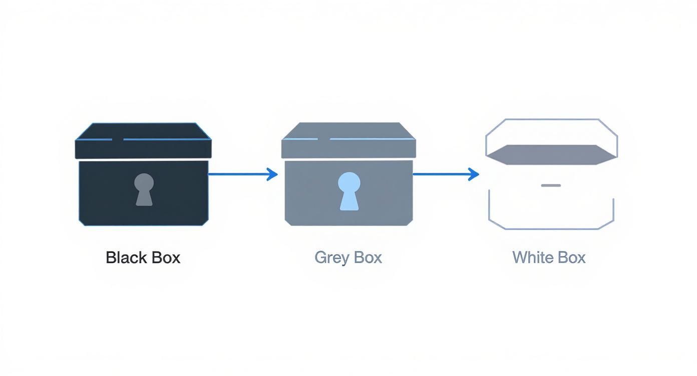 Infographic comparing Black Box, Grey Box, and White Box penetration testing with icons of a locked box, a keyhole, and an open box.