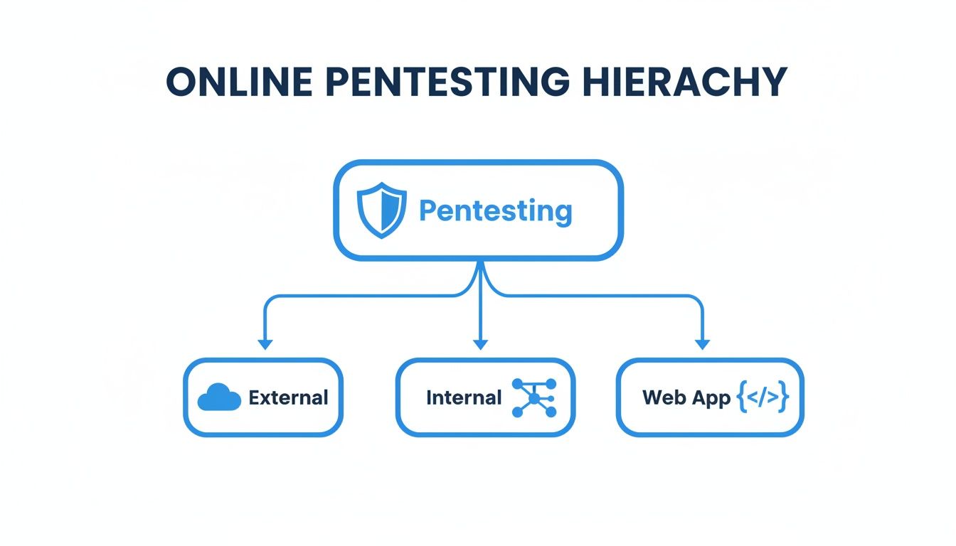 A blue hierarchy diagram titled 'Online Pentesting Hierarchy' showing Pentesting divided into External, Internal, and Web App categories.
