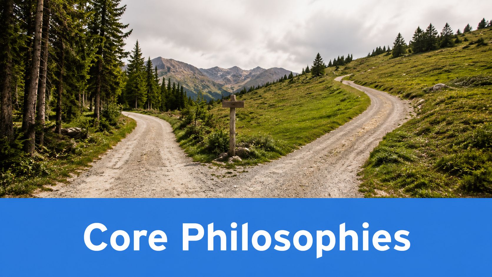 A scenic mountain path diverging into two directions, symbolizing choice and decision-making for various life paths.