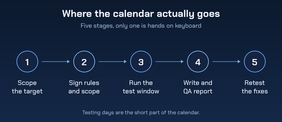Five stage penetration test timeline showing where the calendar goes: scope the target, sign rules and scope, run the test window, write and QA the report, then retest the fixes.