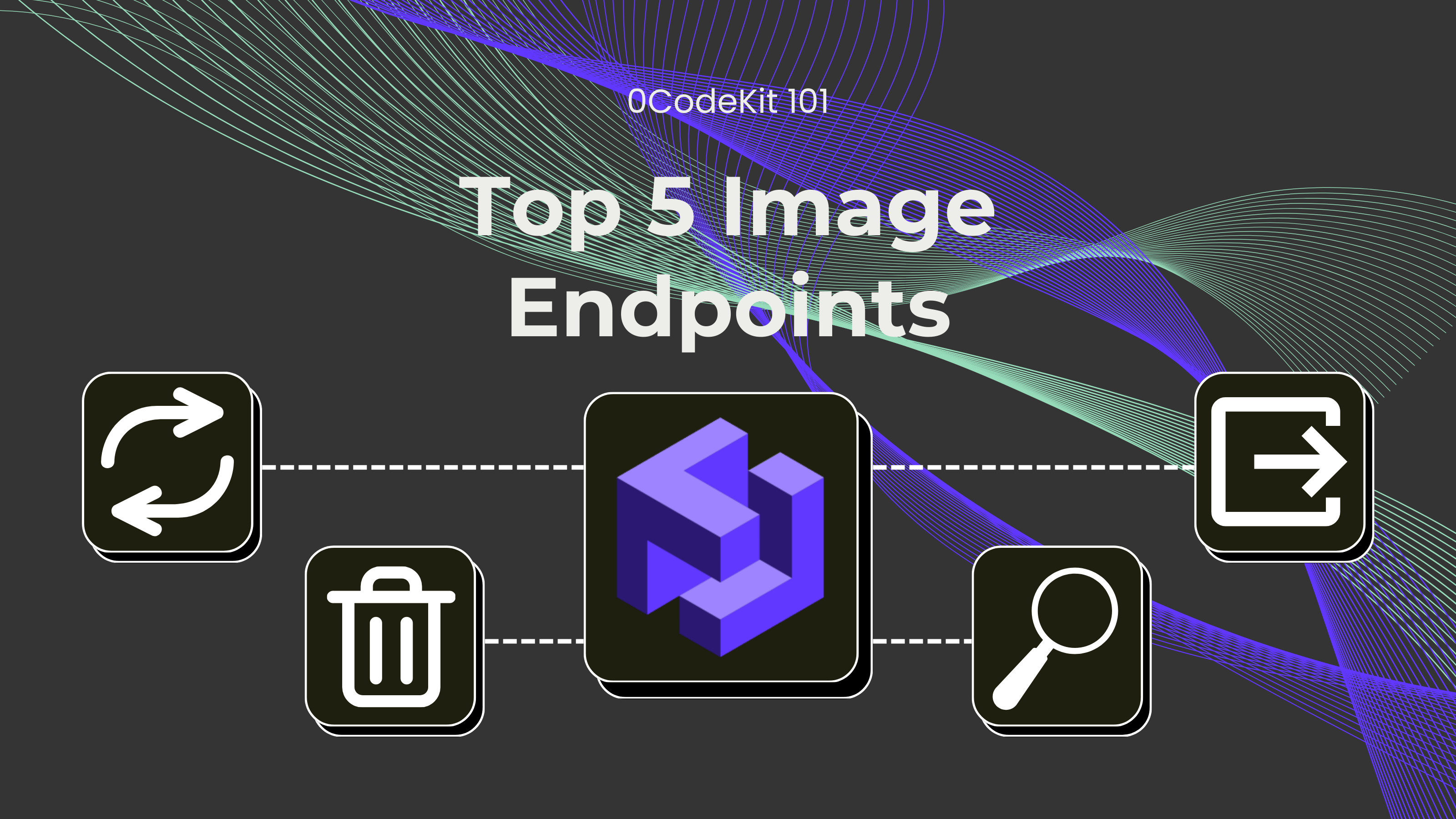 Top 5 Image Endpoints