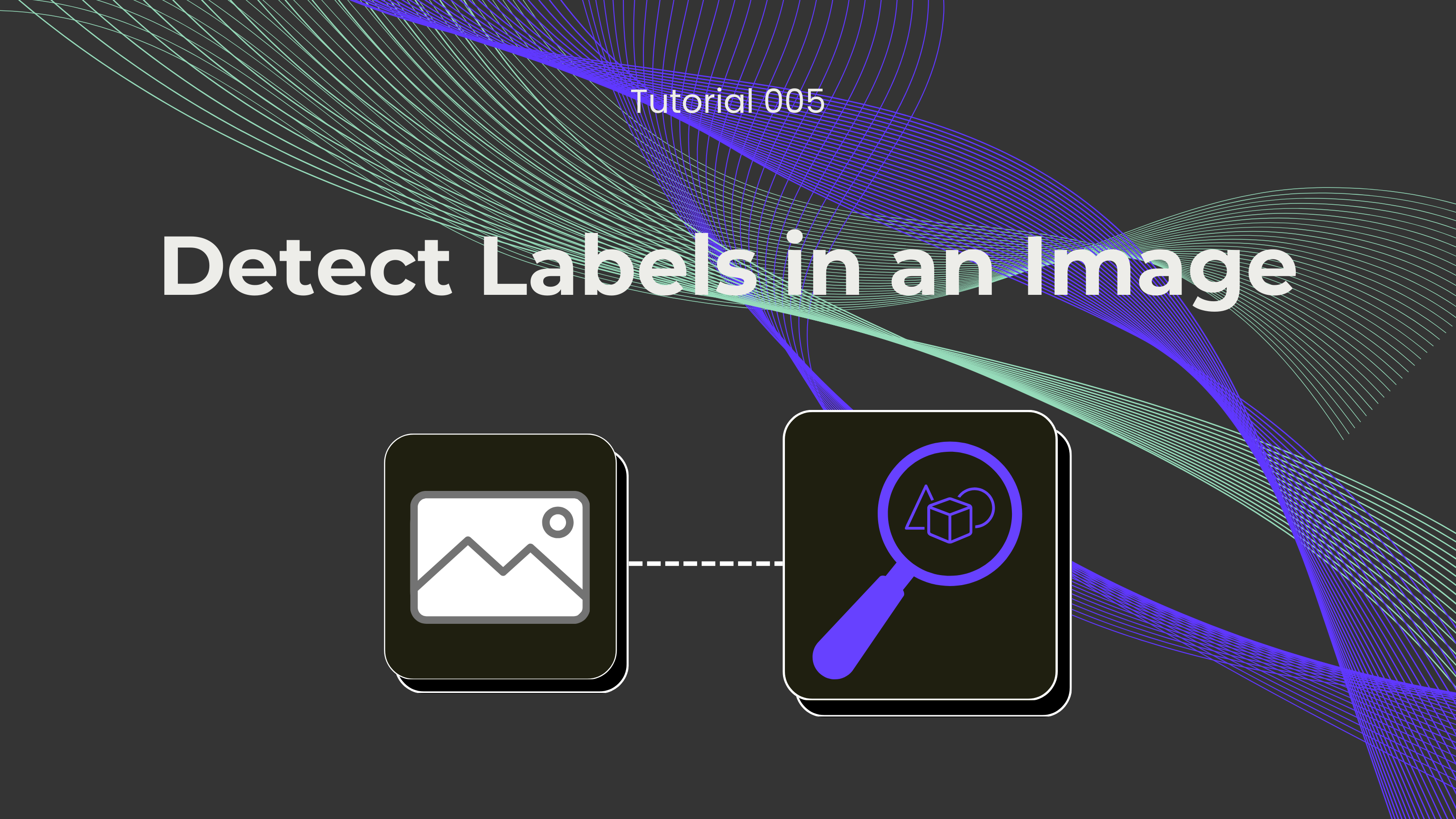 Detect Labels in Images Tutorial