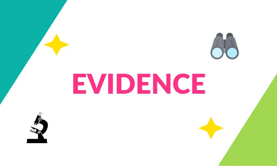 A picture of evidence program
