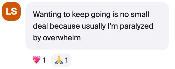 CEO RIse - Testimonial