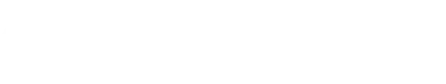 CEO RIse Logo horizontal