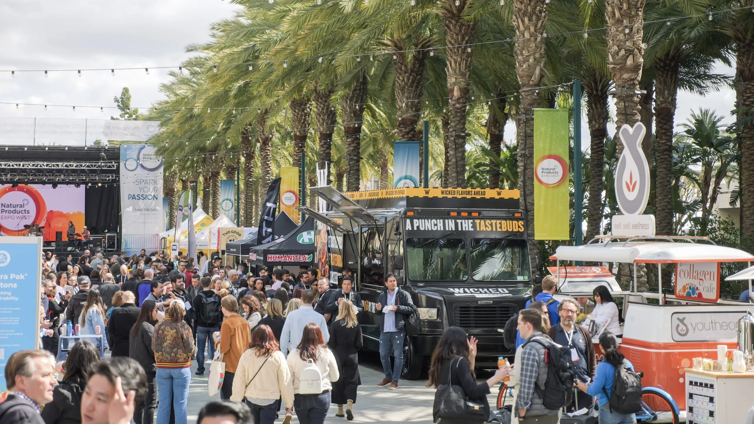 Field Marketing Strategies to Maximize Impact
