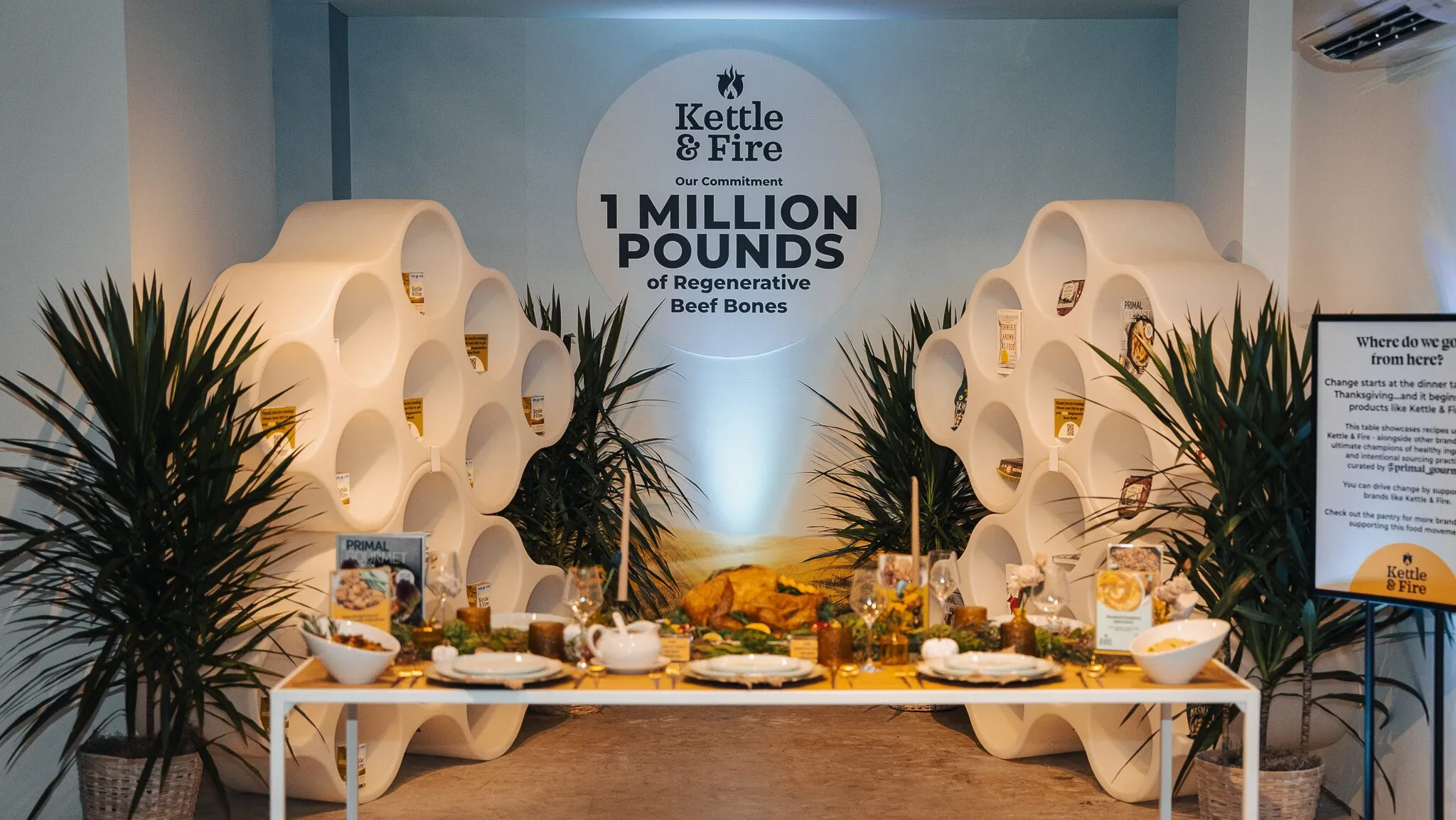 Brand Activism: Empowering Through Experience