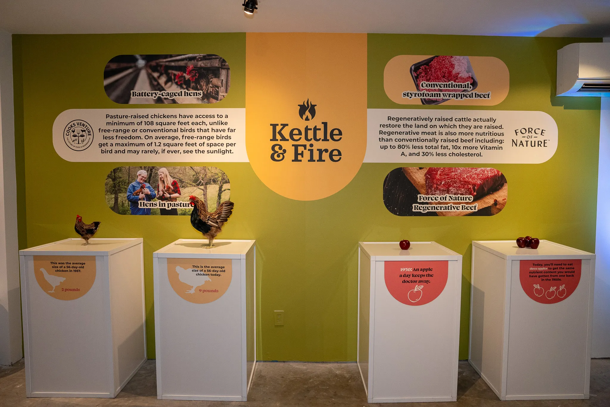 Kettle & Fire