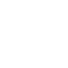 X Icon