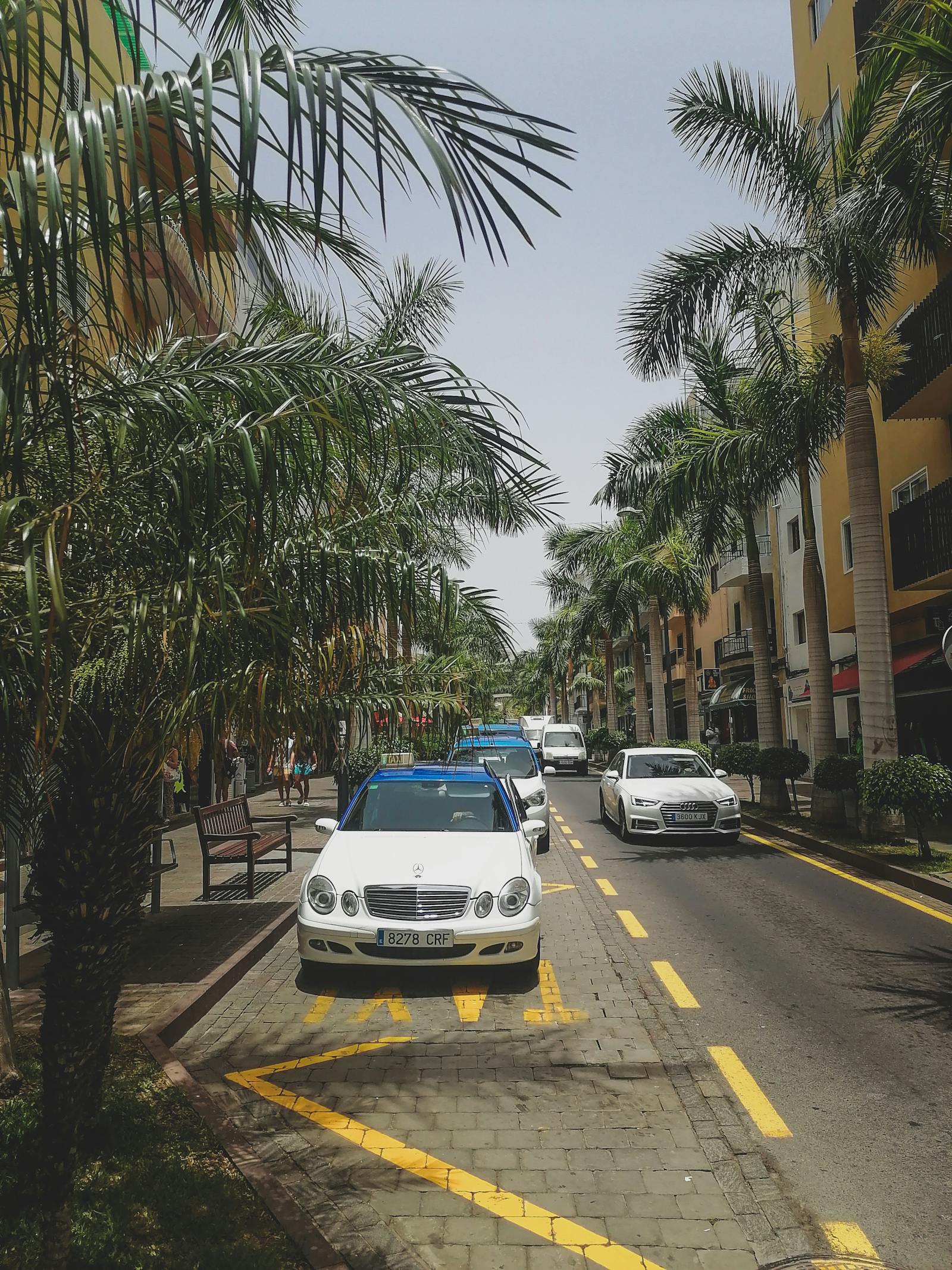 Mercedes on Spanish street with palm trees - long-term car rental