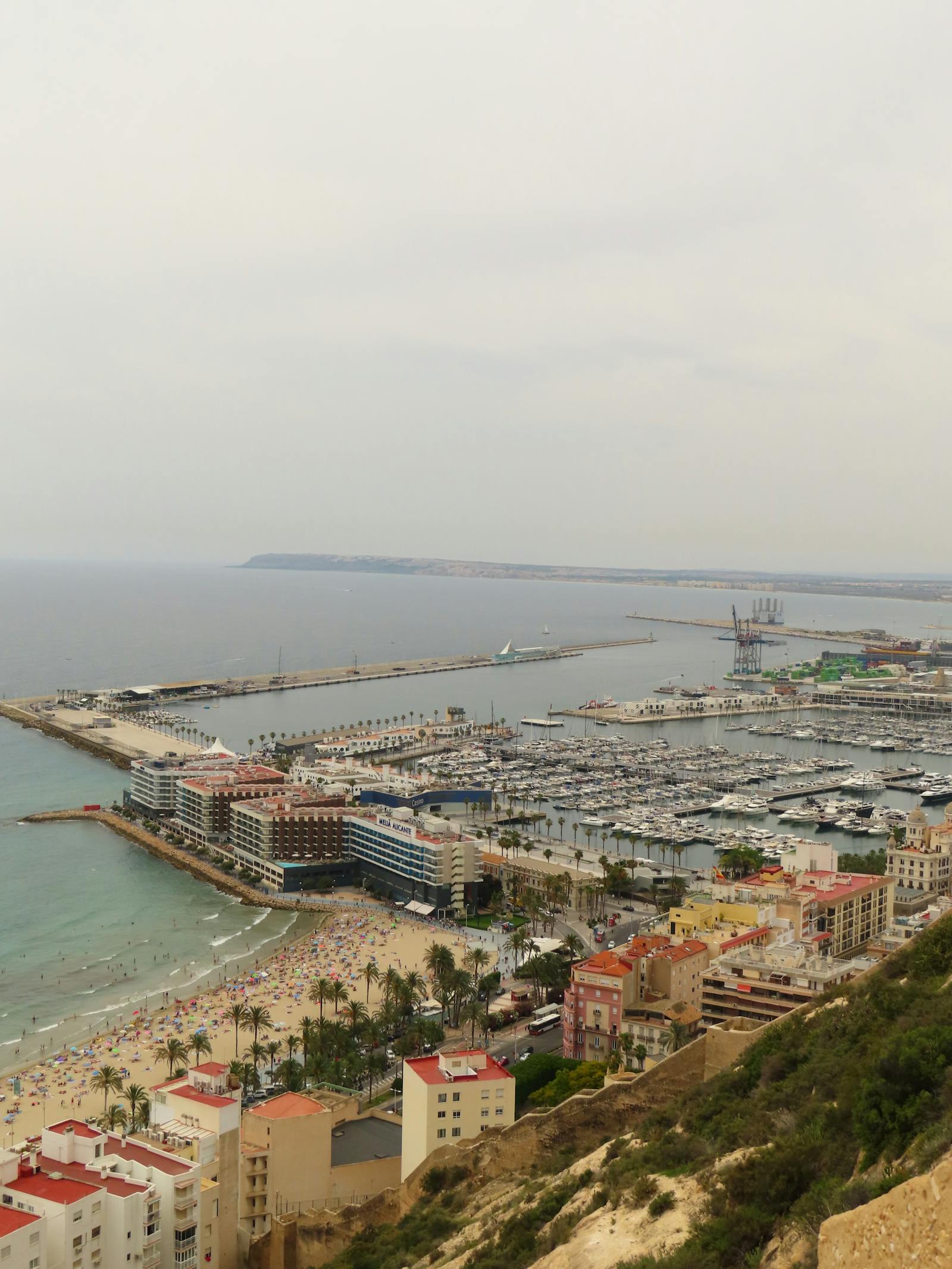 Alicante marina and beach view - complete car rental Spain guide