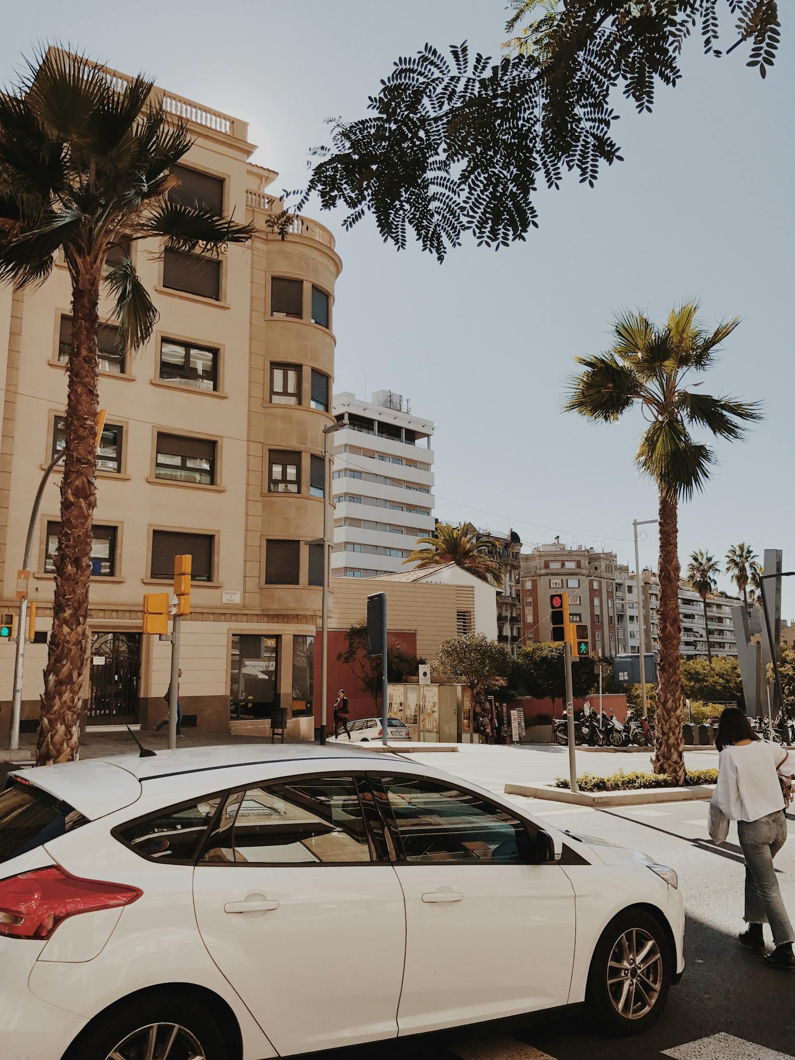 Spanish street with rental cars and palms - Alicante airport arrival guide
