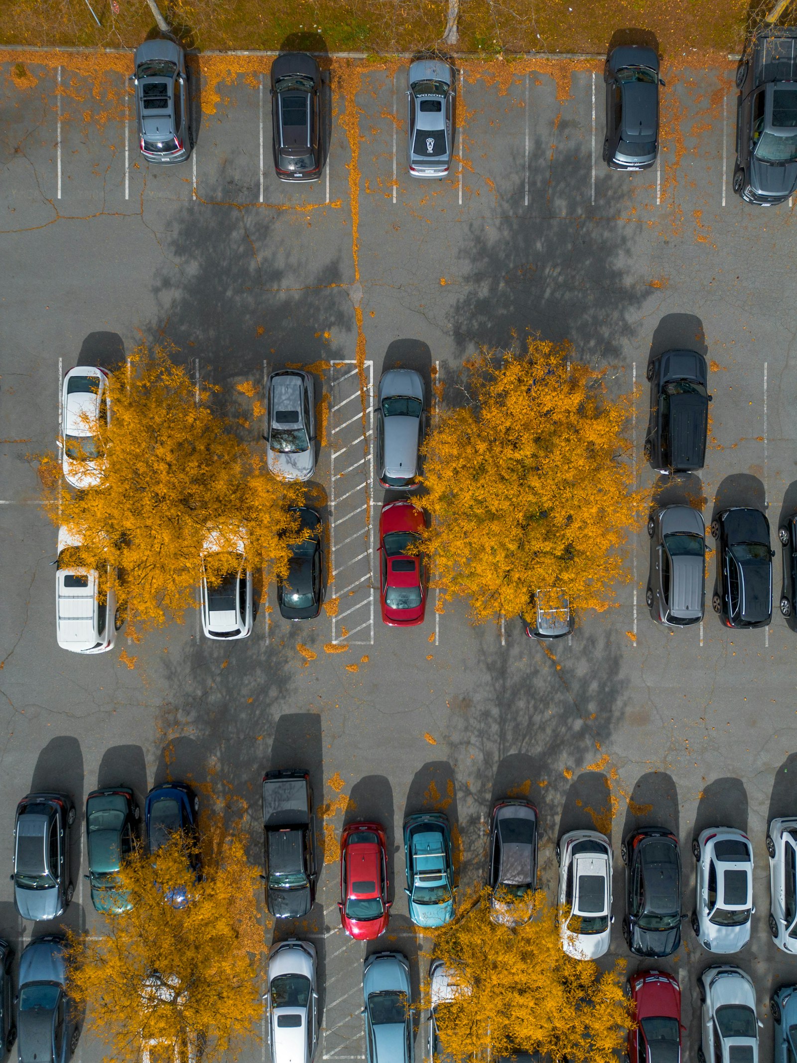 aerial view of a full parking lot with rows of ordinary economy cars ready for hire