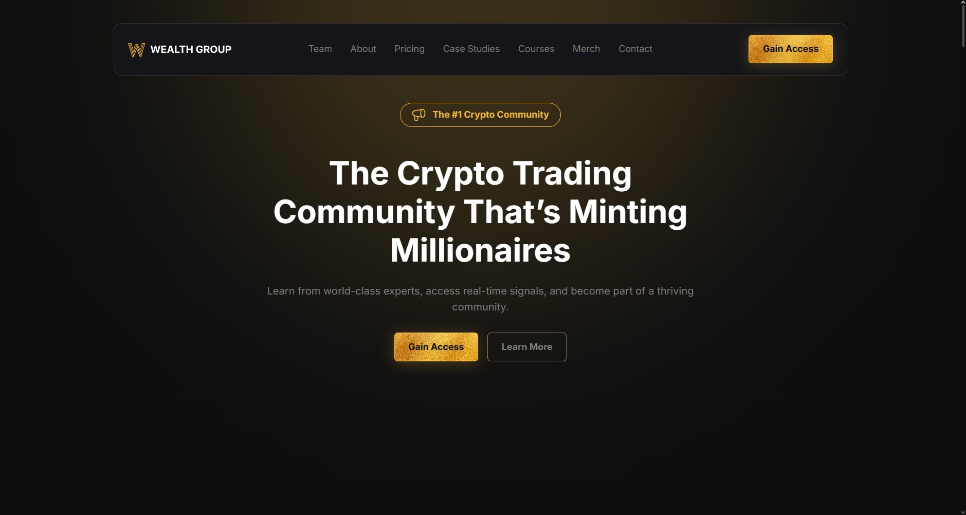 Website screenshot desktop