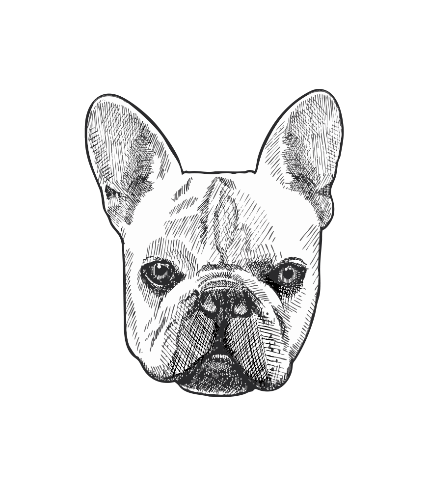 Black and White illustration of Moody, french bulldog