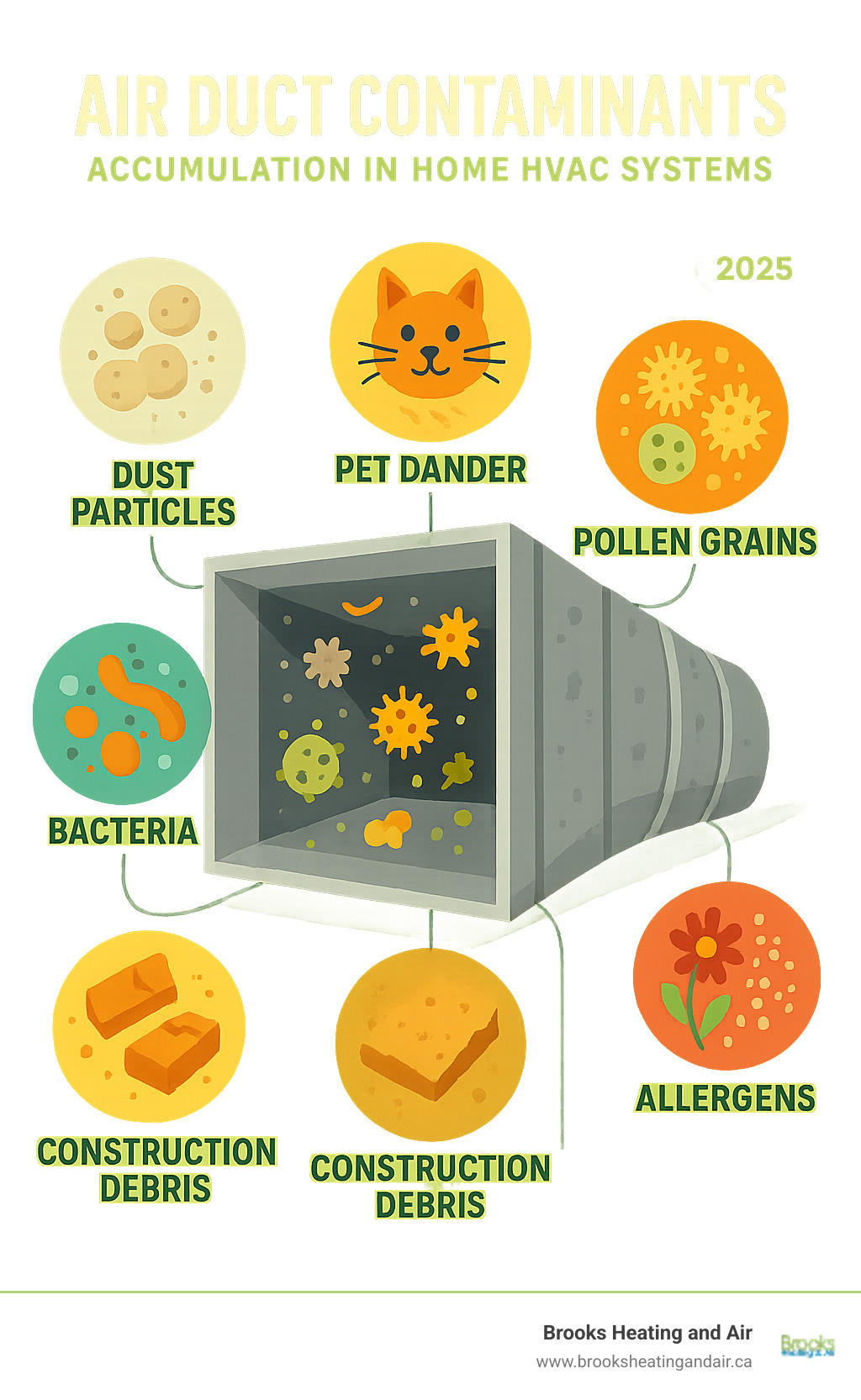 Infographic showing common air duct contaminants including dust particles, pet dander, pollen grains, mold spores, bacteria, construction debris, and allergens that accumulate in home HVAC systems - Air duct cleaning Milton infographic 