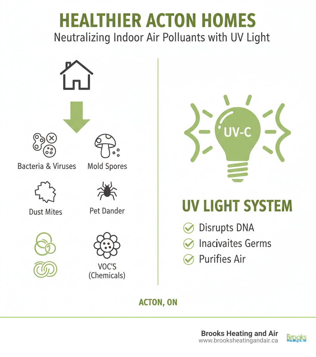 Infographic showing common indoor air pollutants including bacteria, viruses, mold spores, dust mites, pet dander, pollen, and volatile organic compounds (VOCs) that UV light systems can neutralize in Acton homes - uv light installation acton on infographic Infographic showing common indoor air pollutants including bacteria, viruses, mold spores, dust mites, pet dander, pollen, and volatile organic compounds (VOCs) that UV light systems can neutralize in Acton homes - uv light installation acton on infographic