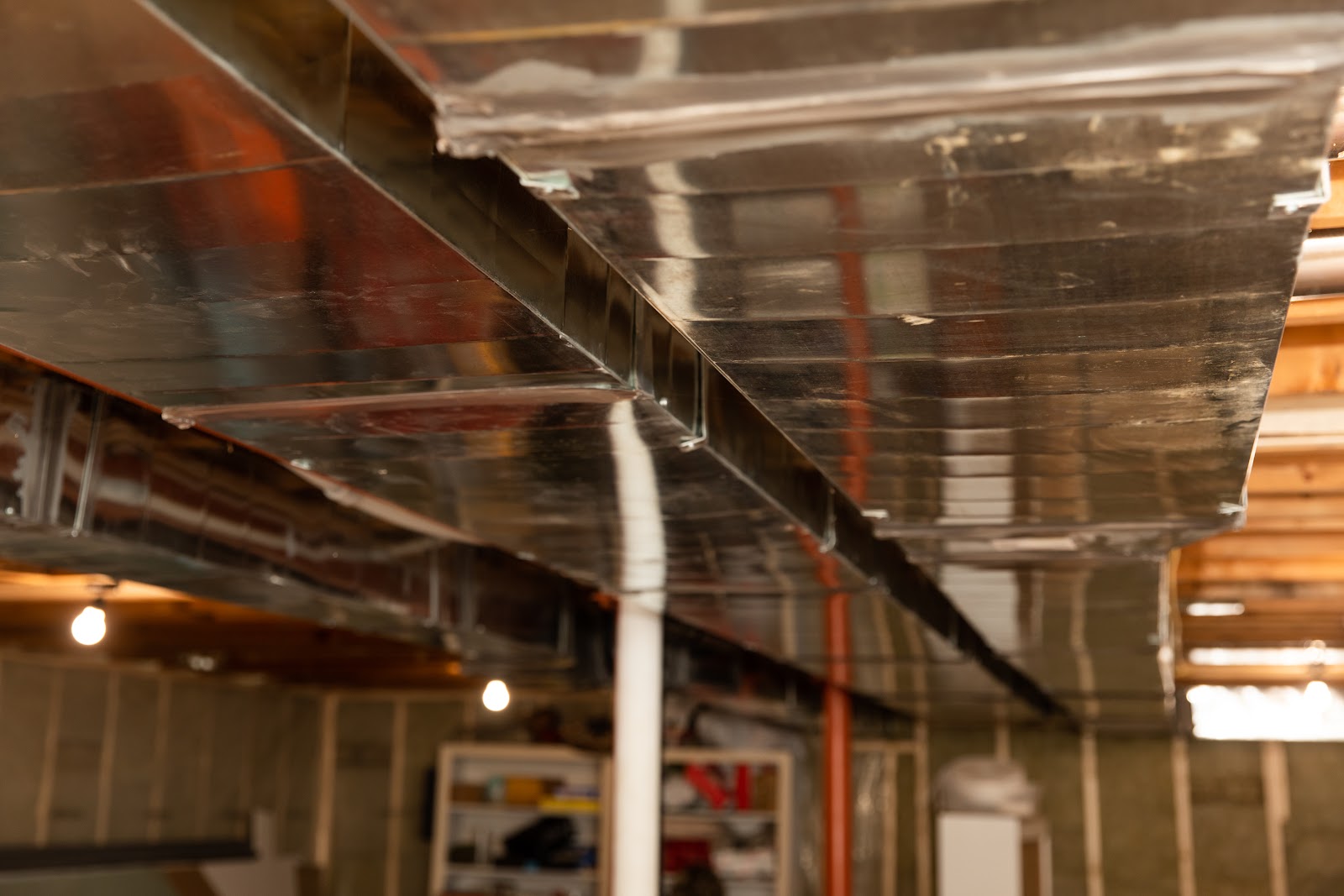 The Ultimate Guide to Fresher Air in Your Living Room