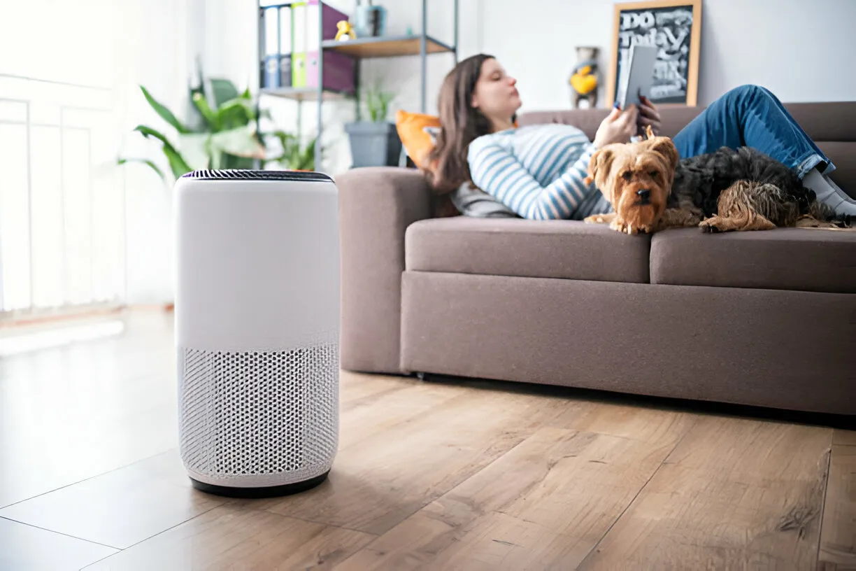 Person relaxing on couch with two dogs near air purifier