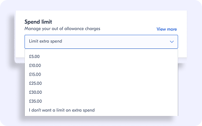 Product Details Page
