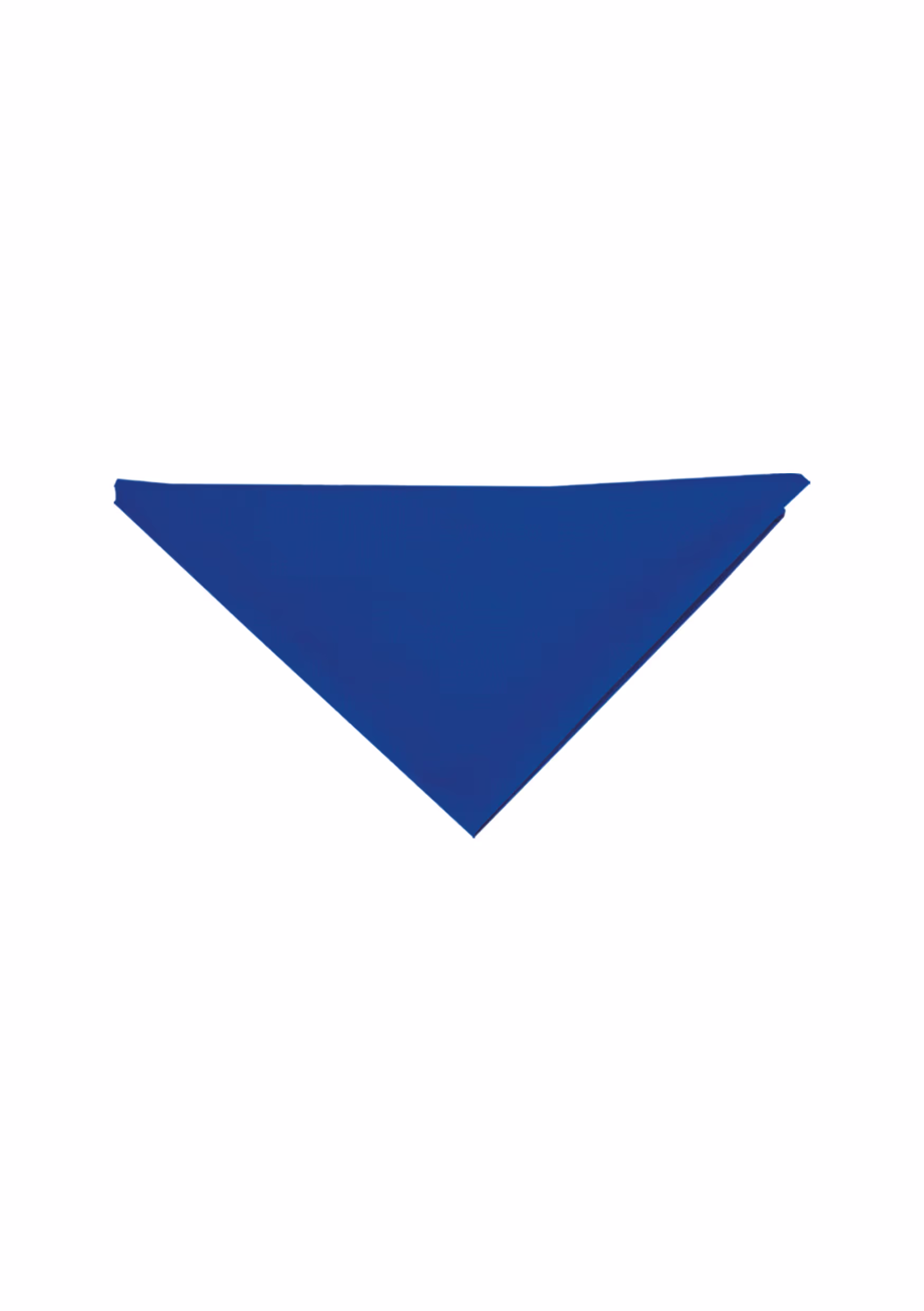 Berufsbekleidung: Halstuch für die Kategorie Accessoires