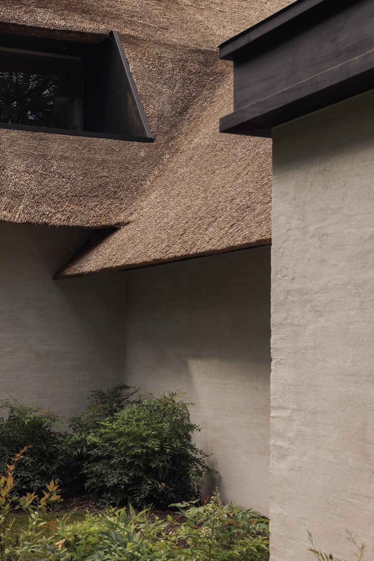 Studio LOHO Lime Finish Raw Outdoor wall plaster