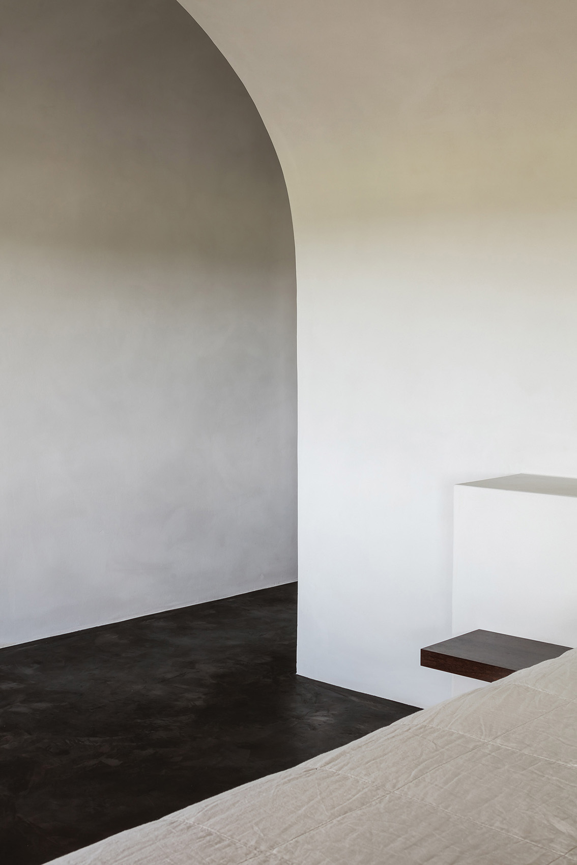 Studio LOHO Clay Finish Raw wall plaster