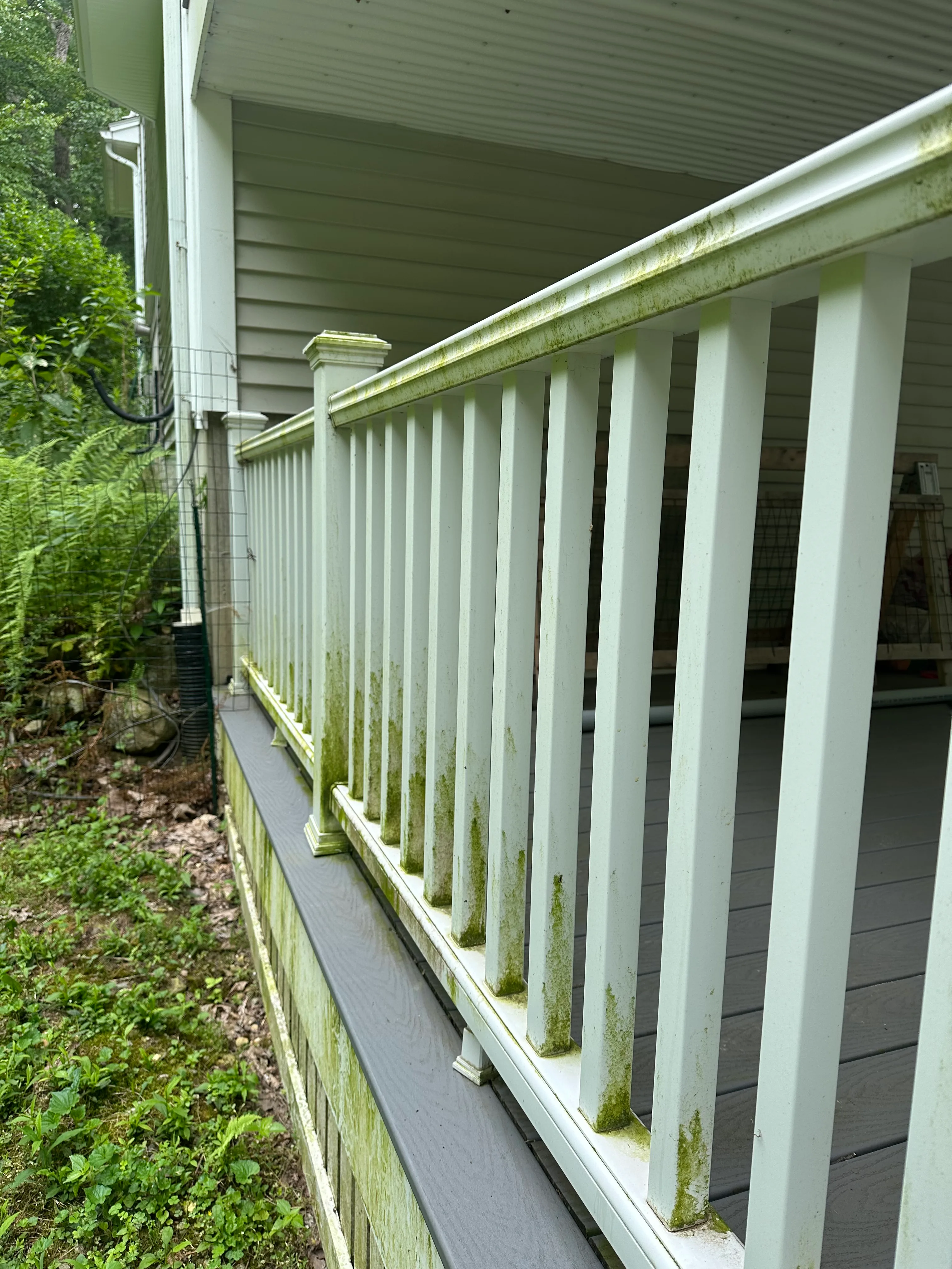 Deck railing and exterior after soft washing